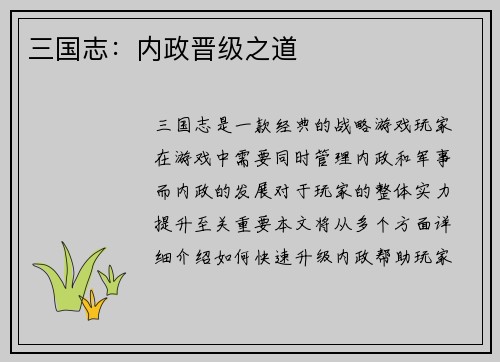 三国志：内政晋级之道