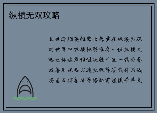 纵横无双攻略